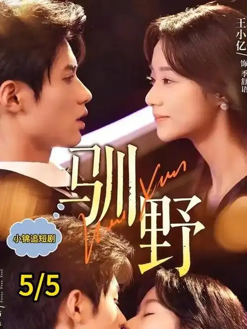 午夜视频免费观看 回声测量仪 海报